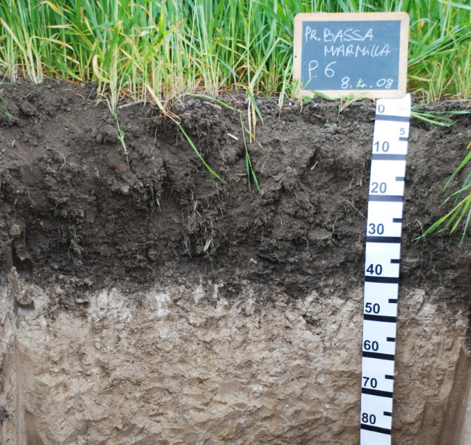 Soil Horizon Profiling