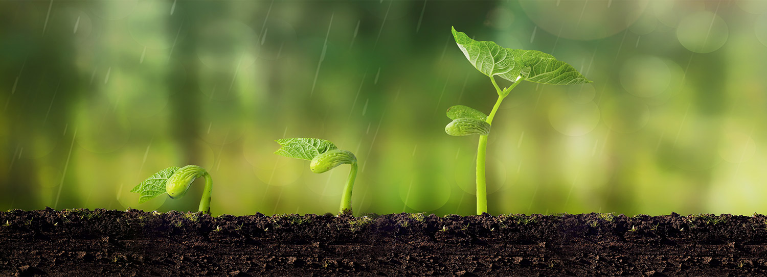 Plant Nutrition and Pesticide Solutions Banner